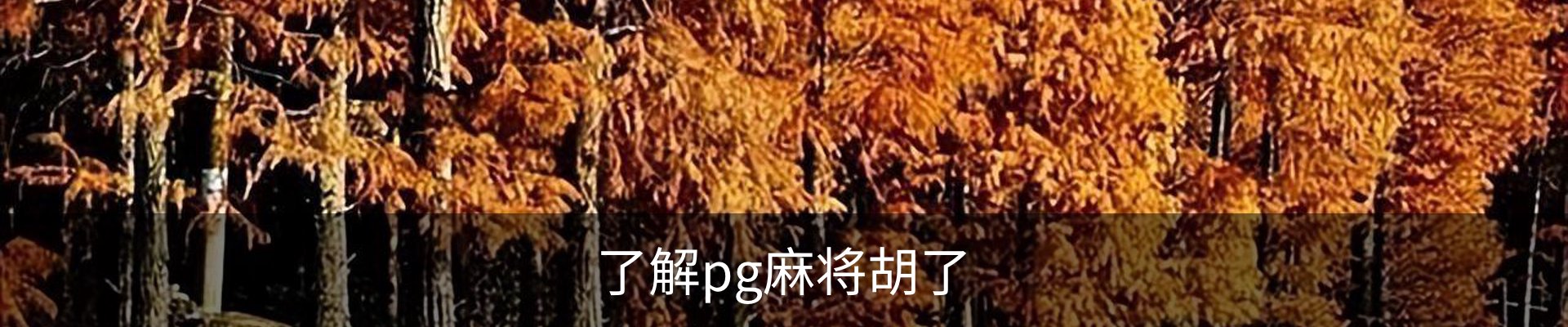 了解pg麻将胡了