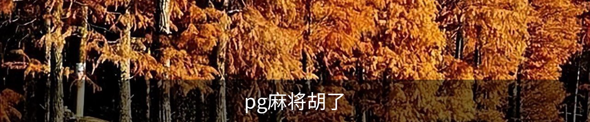 pg麻将胡了